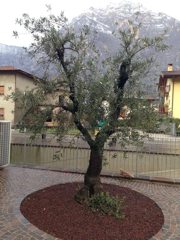 Agritur Ai Masi