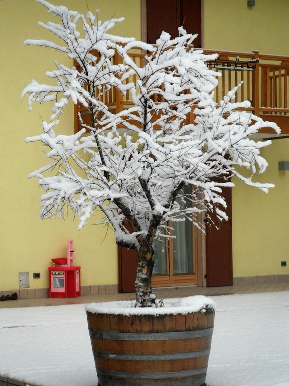 Alloggio per agriturismo Agritur Ai Masi *