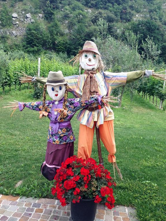 Alloggio per agriturismo Agritur Ai Masi Pergolese